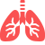 icons8 lungs 50