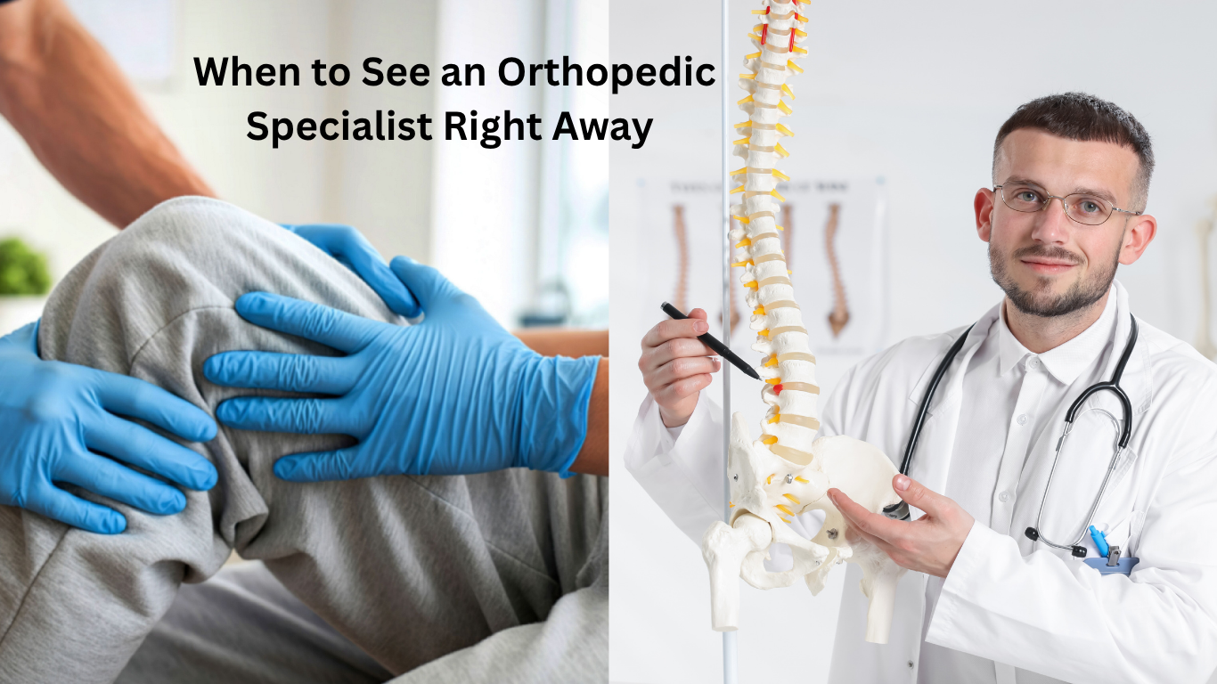 Orthopedic Specialist