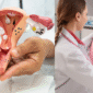 gynecologist