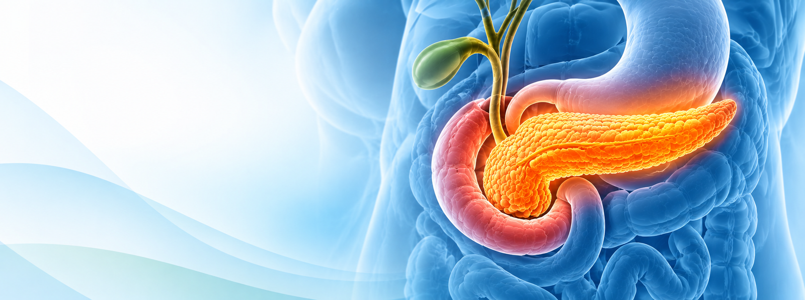 pancreatic